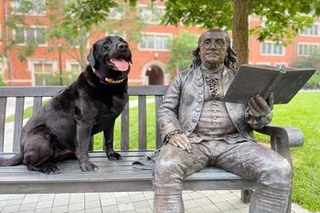 Jordan Peccia's Dog, Dash